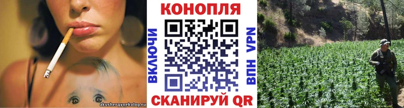 KRAKEN ССЫЛКА  где можно купить наркотик  Унеча  Бошки Шишки Bruce Banner 